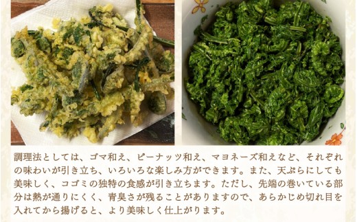 【先行予約】【季節限定】国産山菜 コゴミ 美浜町の春をお届け【2027年3月下旬以降順次発送予定】【こごみ  山菜 クサソテツ 旬 旬菜】 [ｍ47-a025]