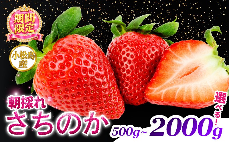
                  【2027年3月発送】　さちのか いちご 選べる容量 500g~2kg 苺 イチゴ ストロベリー strawberry ichigo itigo フルーツ 果物 旬 数量限定 期間限定 産地直送 小松島市
                