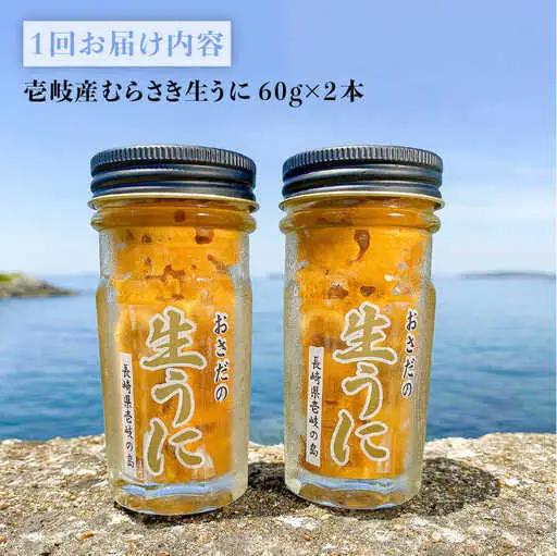 全12回定期便 うに 60g×2 [JAO020] 定期便 うに
