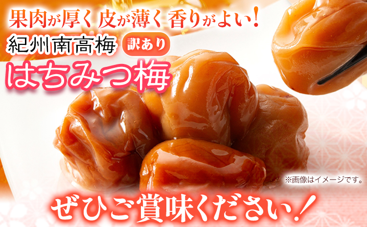 南高梅 はちみつ 梅 わけあり 紀州南高梅 はちみつ梅 2.6kg 有限会社プラム《30日以内に出荷予定(土日祝除く)》和歌山県 日高町 送料無料 梅 うめ ウメ 南高梅 蜂蜜 紀州 訳あり 送料無料