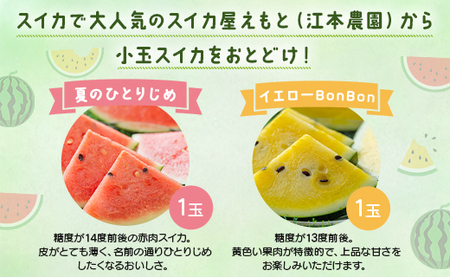 【7月発送】スイカ 小玉 約4kg 糖度13～14前後 2玉【スイカ スイカ スイカ スイカ スイカ スイカ】 em-0032