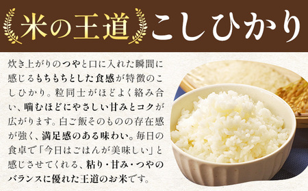 米 こしひかり 白米 茨城 ふるさと米 20kg《1-5日以内に出荷予定(土日祝除く)》 茨城県 結城市 米 国産 お米 おこめ お弁当 おにぎり