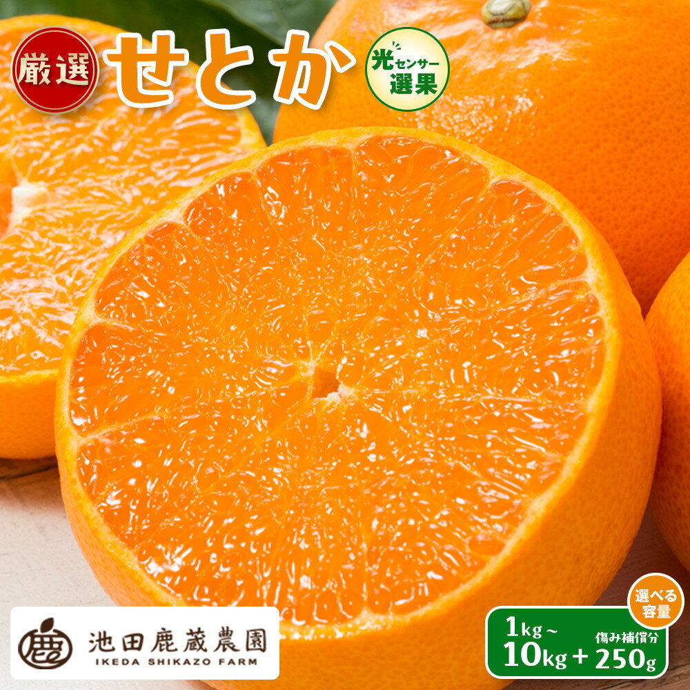 【ふるさと納税】【選べる容量】先行予約 厳選 せとか 1～10kg+250g（傷み補償分）［柑橘・春みかんの王様］［光センサー選果・食べ頃出荷］ ［IKE61］ | せとか 柑橘類 傷み補償 人気 おすすめ フルーツ 甘味 贈答用 家庭用 お取り寄せ 送料無料 ふるさと納税