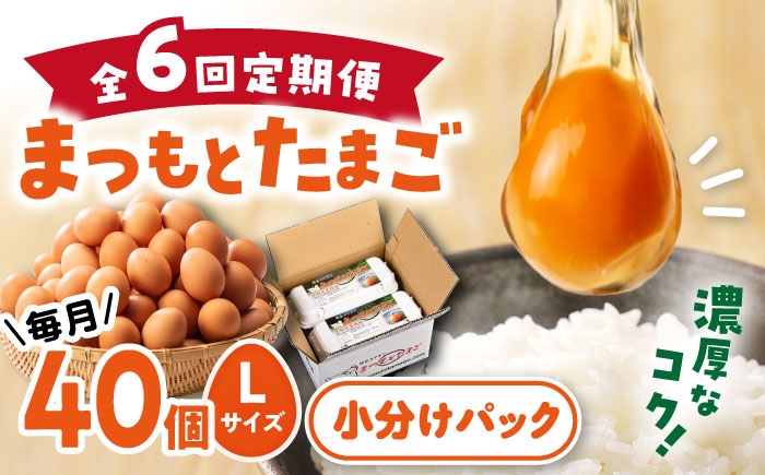 
                  【卵 6回定期便 】まつもとたまご 40個 赤玉 卵 たまご 長崎 西海市 たまご 卵 玉子 タマゴ 鶏卵 オムレツ 卵かけご飯 朝食 料理 人気 卵焼き＜松本養鶏場＞[CCD003] 
                
