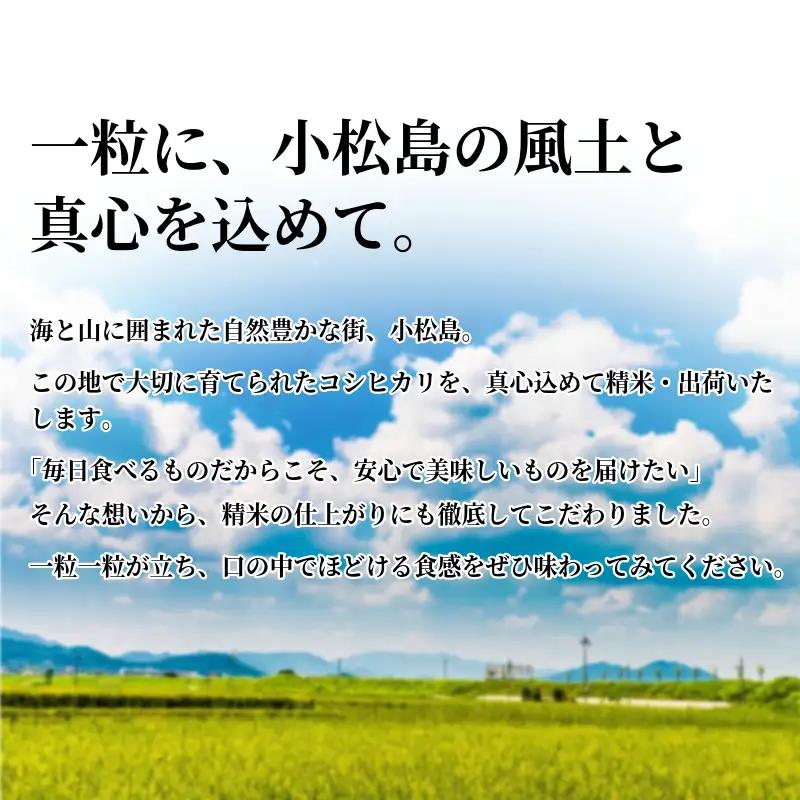 【令和8年産】 新米 米 定期便 あいさい米5kg×3回定期便 計15kg  ご飯 小松島市