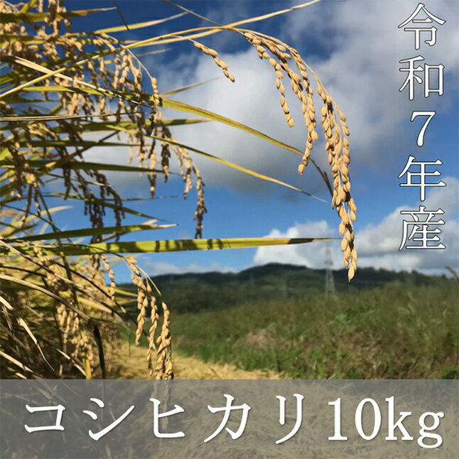 【ふるさと納税】令和7年産 コシヒカリ　10kg【07208-0658】