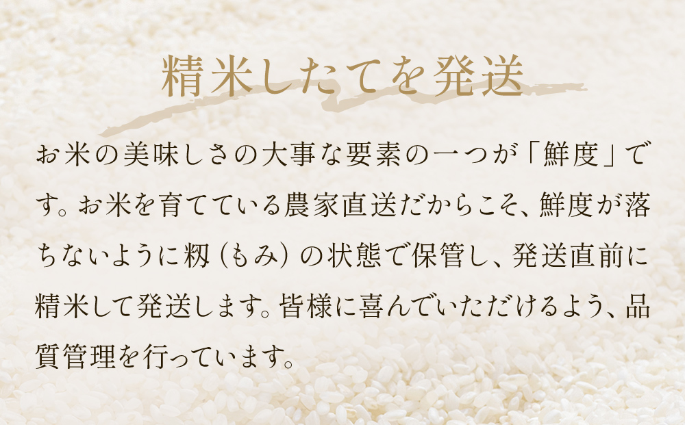 令和7年産 ひとめぼれ 精米 10kg（5kg×2）単品