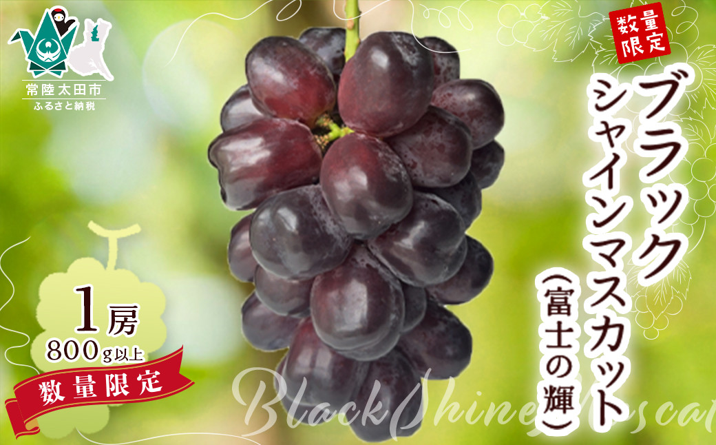 
            【先行予約 数量限定】希少品種！ブラックシャインマスカット（富士の輝）１房 800g以上｜ブラックシャインマスカット シャインマスカット ブラックシャイン ブドウ 希少 期間限定 数量限定 旬 ぶどう 旬 季節 果汁 酸味 甘味 バランス コク 味わい 冷蔵庫 デザート ぜいたく 種なし ファミリー 子ども 茨城県 常陸太田市】
          
