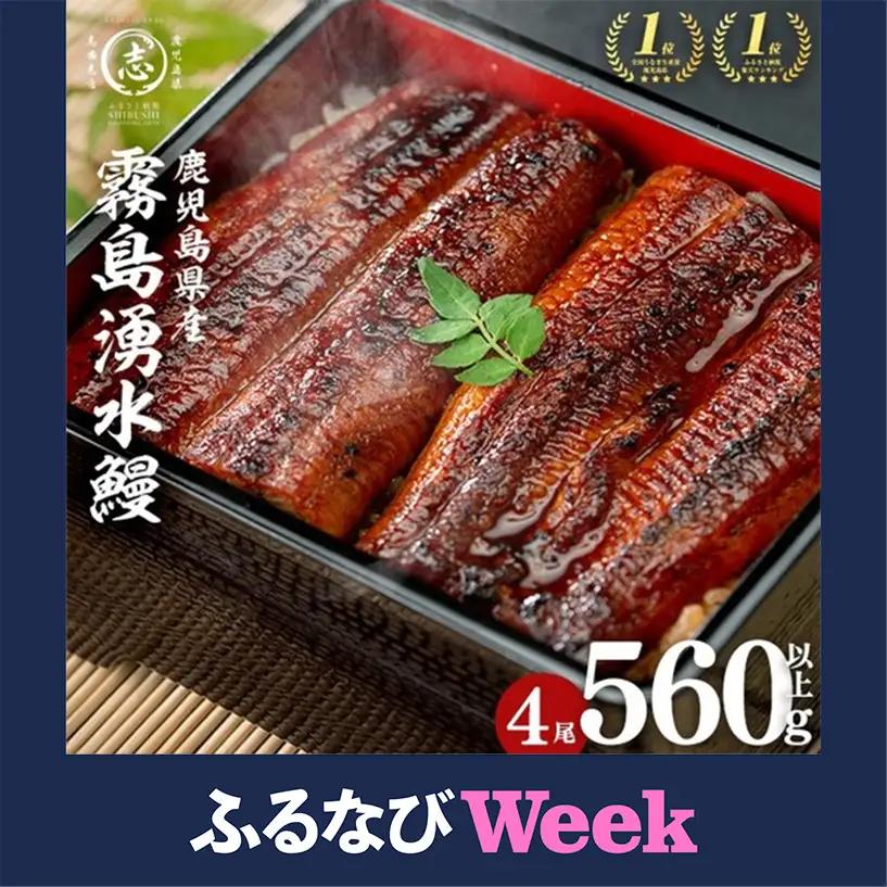 【ふるなびWEEK対象】国産 うなぎ 蒲焼 4尾 霧島湧水鰻の蒲焼き 140g以上×4尾＜計560g以上＞ うなぎ 鰻 ウナギ 国産 九州産 蒲焼き 【志布志市人気No.1お礼の品】 a5-385