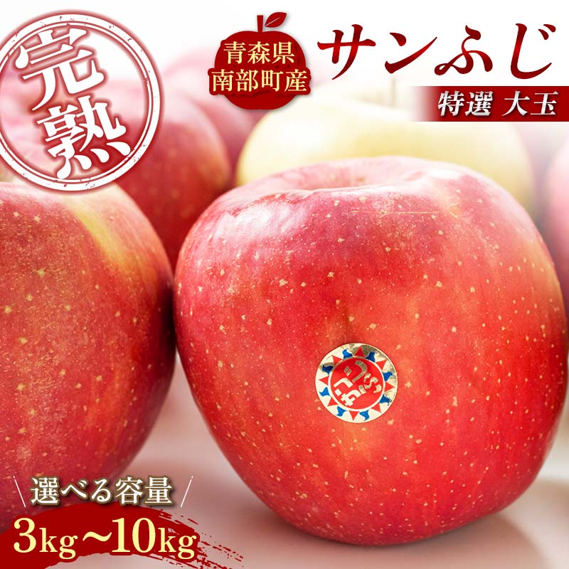 【ふるさと納税】 ≪容量が選べる≫ 特選 (大玉) 青森産 完熟 りんご サンふじ 約3kg／約5kg／約10kg 【誠果園】 青森りんご リンゴ 林檎 アップル あおもり 青森 青森県 南部町 三戸 南部 澁川賞受賞 果物 くだもの フルーツ F21U-386var
