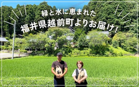 【令和8年産新米】お米 こしひかり 5kg（精米）福井県産 【 白米 人気品種 】【2026年10月下旬以降順次発送開始！】 [e47-a009]