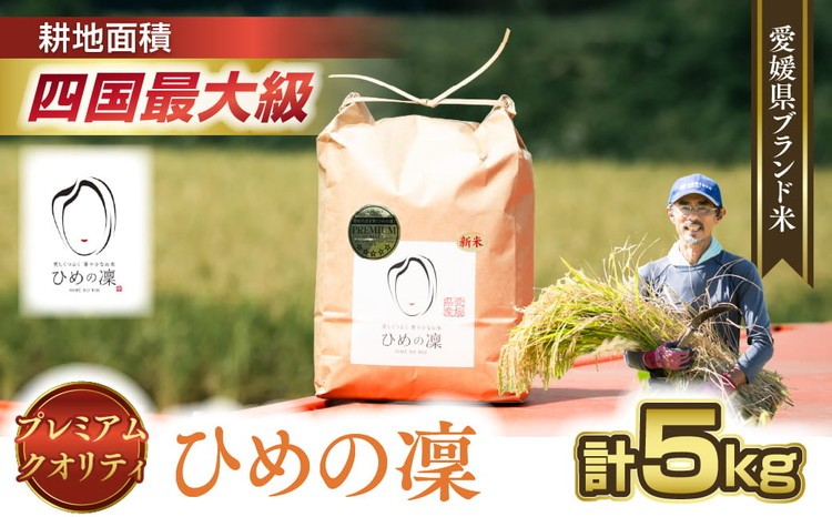 
                  【先行予約】【R8年産】【愛媛県ブランド】ひめの凜 5kg（プレミアムクオリティ）  ｜ お米 お米不足 お米品薄 おいしい お米 事業者支援 送料無料 白米 精米 国産 限定 ごはん ご飯 白飯 ゴハン 愛媛県産 鬼北町 ※2026年10月～発送
                