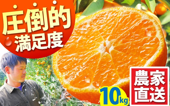 
                  みかん 【2026年10月下旬～発送】温州みかん 10kg / 先行予約 みかん ミカン 蜜柑 フルーツ 果物 くだもの 柑橘 旬 果実 甘味 酸味 甘い mikan 産地直送 ミカン 農家直送 数量限定 国産 先行予約 ご家庭用 ミカン ご当地 お返し 贈り物 人気 贈答用 家庭用 土産 手土産 みかん / 南島原市 / 蜜柑屋まつお [SCQ002]
                