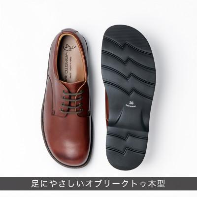 ふるさと納税 大和郡山市 ヤマトイズム 25.0cm ワイン 牛革 カジュアルシューズ 紳士靴 YA3320 |  | 02