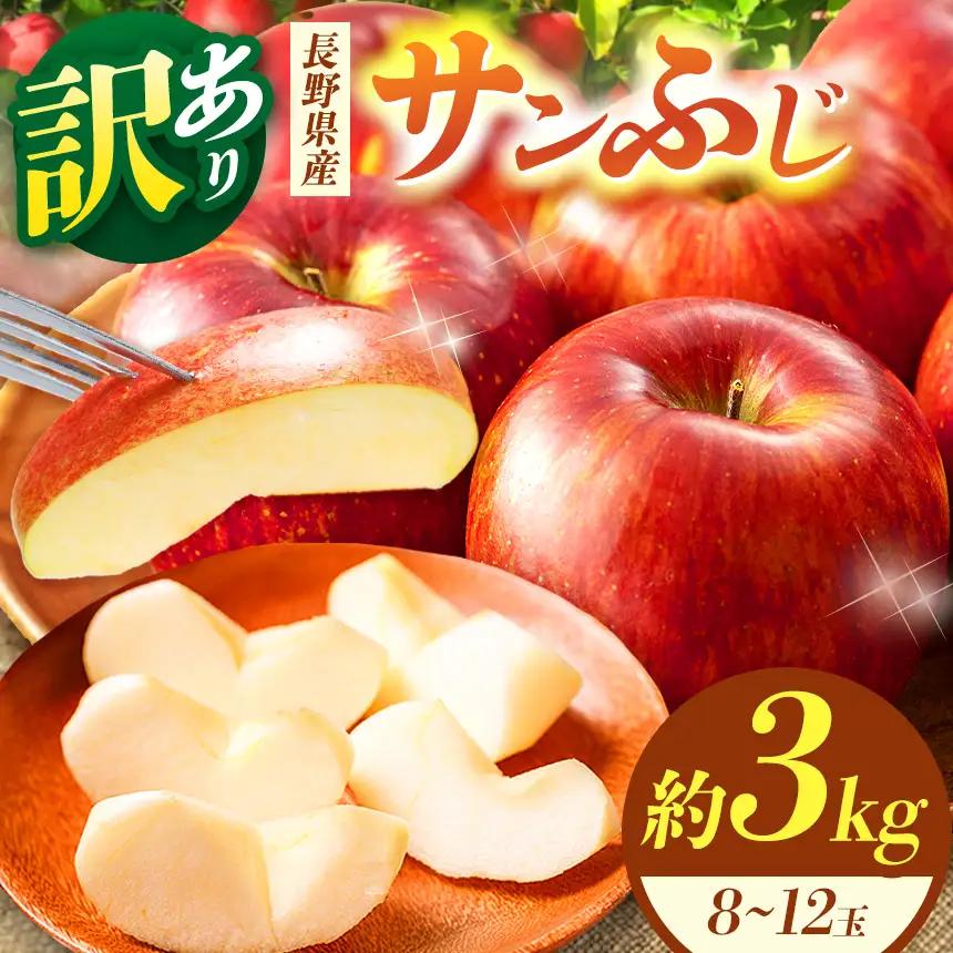 【先行受付】松本市産  訳ありサンふじ 約３kg( 8～12玉) 