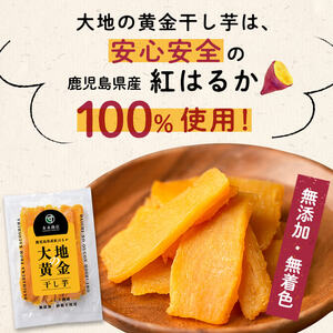 大地の黄金干し芋 計2kg(100g×20袋) さつまいも さつま芋 ほしいも 干しいも 紅はるか 国産 九州産 鹿児島県産 小分け スイーツ 干し芋 人気 常温 常温保存 b0-177