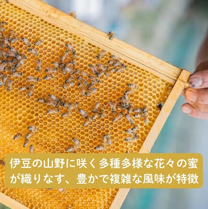 国産百花蜜：伊豆の花々 百花の生はちみつ（贈答用150g×2本） 1379 ／ Honey・D  国産 ハチミツ 非加熱 無添加 静岡県 東伊豆町