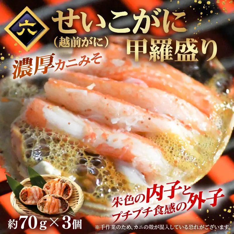 定期便 ≪6ヶ月連続お届け≫ お楽しみ 海鮮 セット [e15-g002]