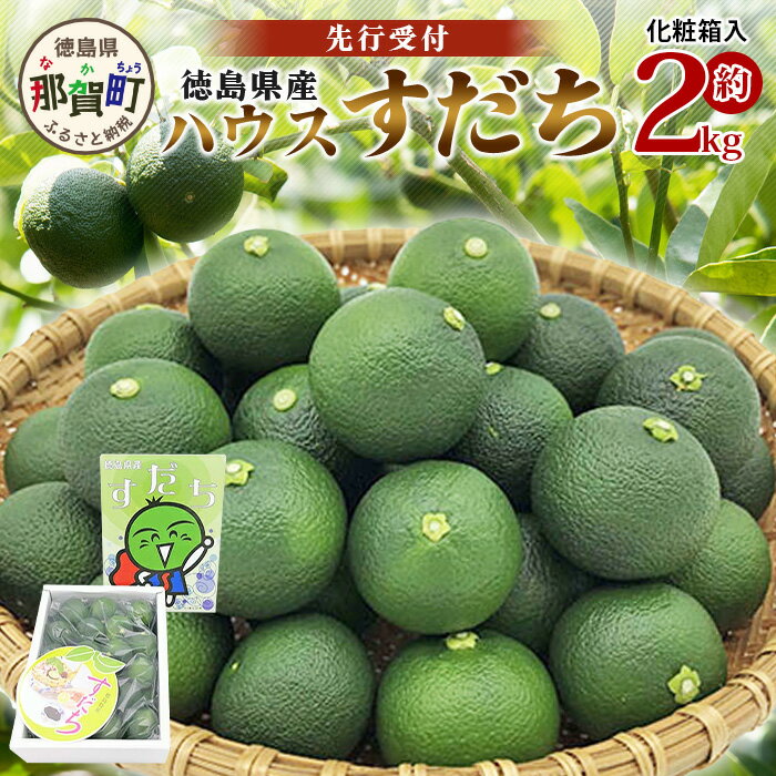【ふるさと納税】【先行受付】澄んだ空気と清らかな水で育った ハウスすだち 約2kg (2Lサイズ/1kg×2箱)「2026年6月より順次発送」【徳島県 那賀町 国産 すだち スダチ 酢橘 柑橘 果物 青果 特産品 果汁 薬味 酸味 お酒 料理 万能 調味料 産地直送】KF-1