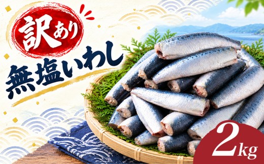 【訳あり】 無塩 いわし 約2kg 冷凍 国産 イワシ 鰯 内蔵処理 頭なし 料理 簡単調理 手軽 和風 和食 おかず 惣菜 弁当 魚 海鮮 魚介 訳あり 南伊勢町産 三重県 伊勢 志摩