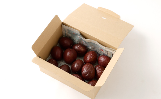 【2026年発送】先行受付 天城町 南部ガーデン パッションフルーツ 家庭用 1kg 果物 果実 フルーツ 常温 国産 九州 鹿児島県 天城町