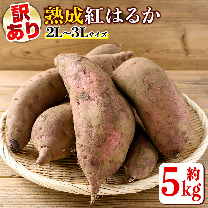 【ふるさと納税】《訳あり・予約受付中！2025年12月より順次発送予定》熟成紅はるか(約5kg・2L〜3Lサイズ混合) 訳あり さつまいも 紅はるか 鹿児島 生芋 完熟 長期熟成 土付き べにはるか サツマイモ 焼き芋に 【いさ工房】