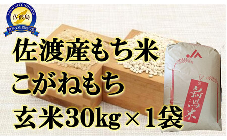 【令和7年産】佐渡産もち米 こがねもち 玄米30kg×1袋