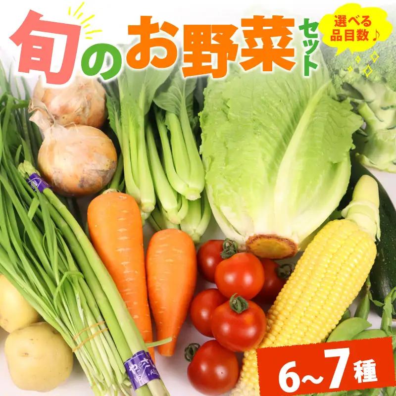 野菜セット 6~7品目 以上 野菜セット