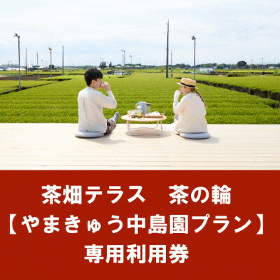 【ふるさと納税】茶畑テラス茶の輪利用券【やまきゅう中島園プラン4名分】【1502962】