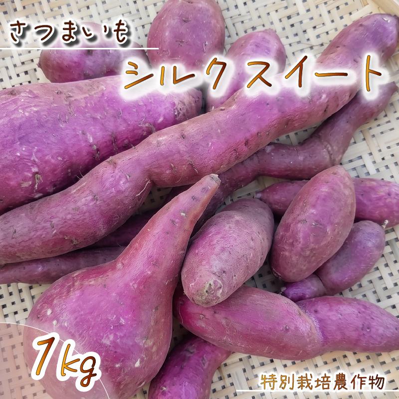 
                  【予約受付】 26年度 さつまいも シルクスイート 1kg 特別栽培 産地直送 農家直送 富士山 湧水 で つくる 野菜 美味しい 旬 お野菜 新鮮 静岡県 沼津市 やまひろ農園
                