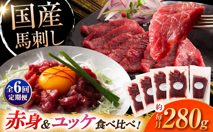 
            【全6回定期便】国産 馬刺し 満喫セット / 馬刺し 馬刺 熊本 菊陽 小分け 赤身 ユッケ 280g 低カロリー 高タンパク 人気 絶品 熊本県 菊陽町 馬肉 専用醤油 たれ  晩酌 つまみ お酒の肴 あっさり日本酒 ばさし 専用醤油付き 生姜付き  赤身 国産馬刺し 冷凍【株式会社フジチク】[BHAD111]
          