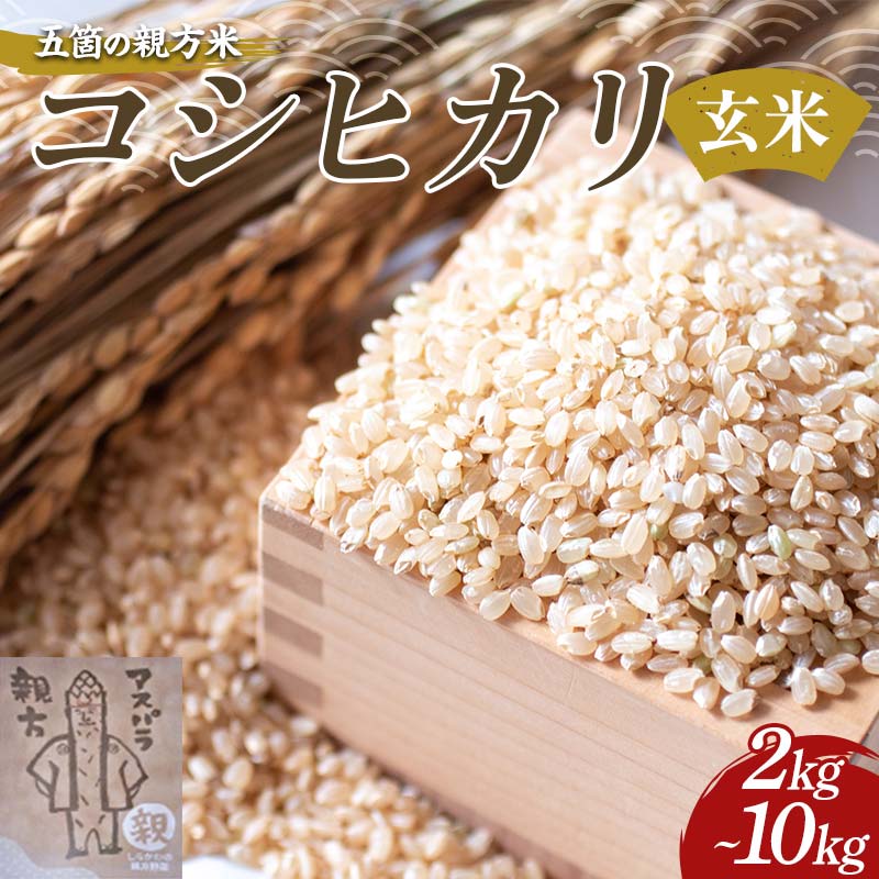 【ふるさと納税】《選べる容量》ガンバ農園 五箇の親方米 コシヒカリ玄米 2kg 5kg 10kg F23R-947var
