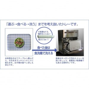 【イエロー×グリーン2枚組】タツクラフト SRトレー M 33cm ミルキーチェック