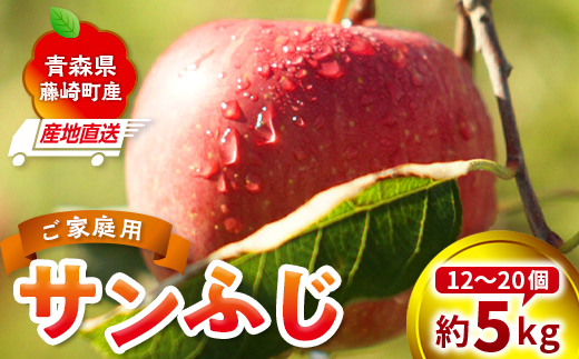＜産地直送＞ サンふじ 家庭用 約5kg（12～20個） りんご リンゴ 林檎 果物 フルーツ  F41-0075