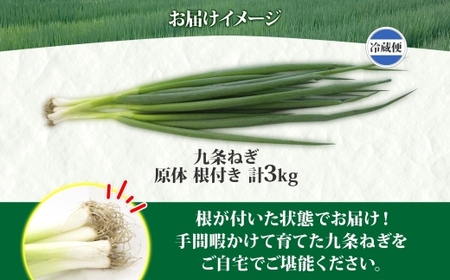 九条ねぎ 原体 根付き 3kg 京のおねぎはん ｜ 京野菜 京都府産 葱 ネギ ラーメン うどん 味噌汁 お鍋 ねぎ焼き 薬味 業務用 常備菜 産地直送 お取り寄せ 熨斗 のし 対応（名入れ不可）送料
