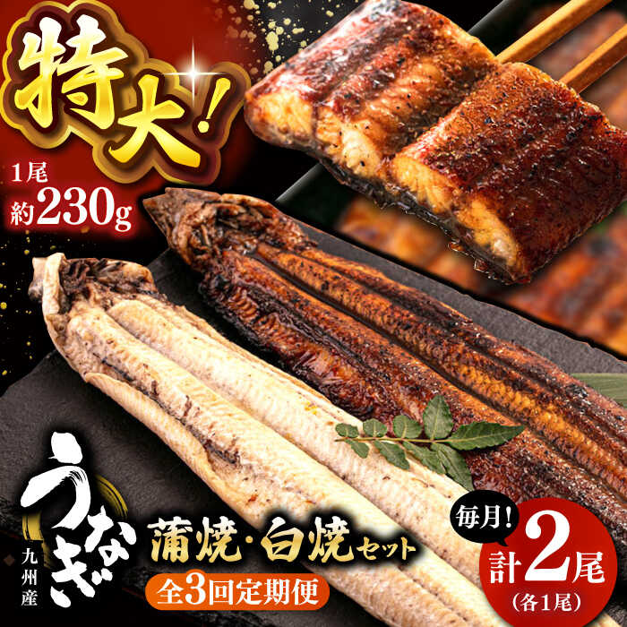 【ふるさと納税】全3回定期便 鹿児島産 うなぎ 2尾 蒲焼 ・ 白焼 セット（たれ付き） ▼ 国産 ウナギ 特大 特大 丑の日 白焼き かば焼き かば焼 定期便 桂川町/山水商事[ADAH018]