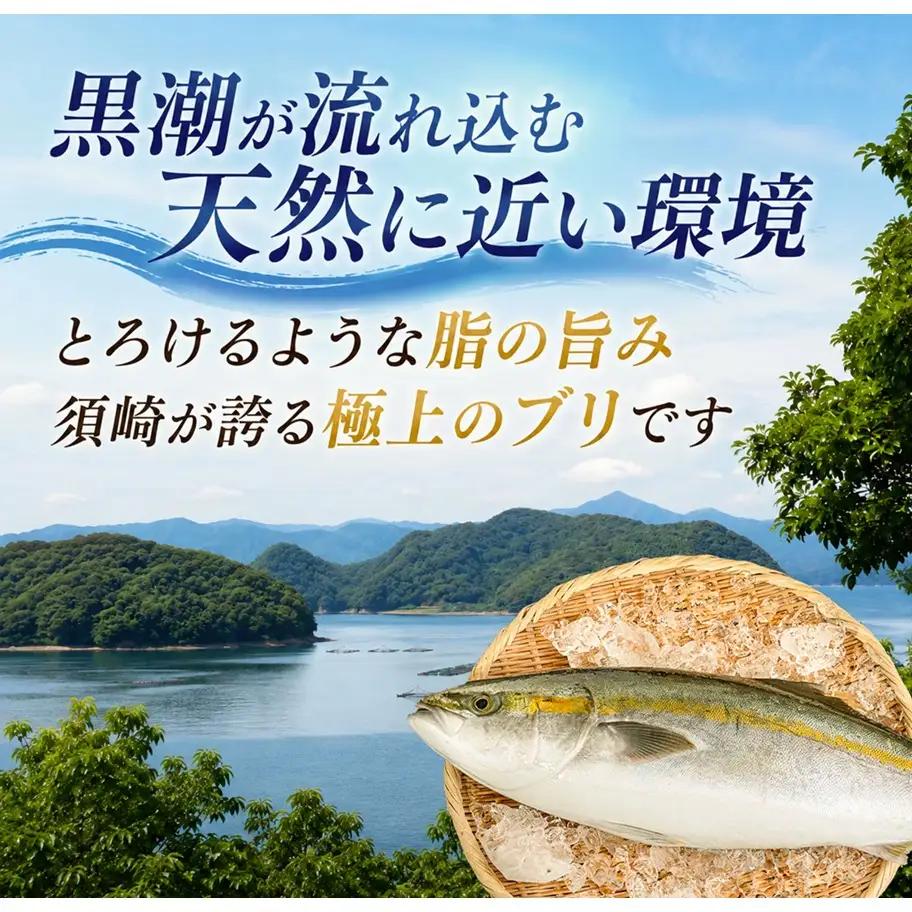 ブリ  丸ごと1尾   高知県 