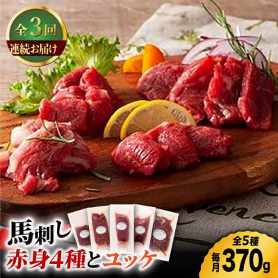 ふるさと納税 山鹿市 【毎月定期便】ふじ馬刺し 赤身 4種 と ユッケ セット　全3回 | 