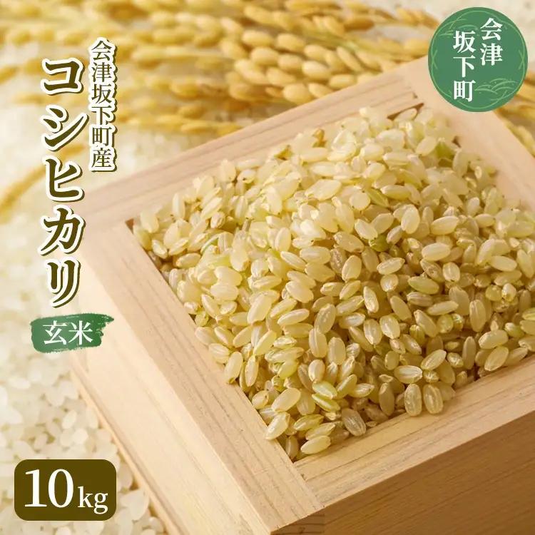 21-K 会津坂下町産 コシヒカリ10kg（令和7年産米）（玄米）※2025年10月～発送
