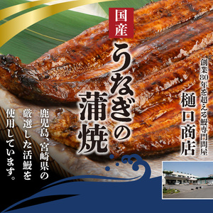 うなぎの蒲焼　２尾セット（特大サイズ　一尾　１７０g?２００g）_Cu001_うなぎ 蒲焼 2尾 セット 特大サイズ 一尾１７０g～２００g  たれ付き 鰻専門問屋 樋口商店 真空パック ギフト お取