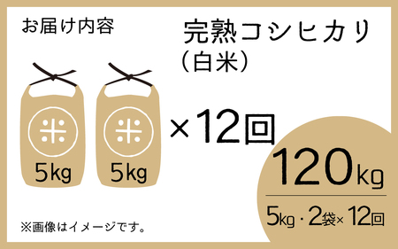 【先行予約】【令和7年産　新米】【12ヶ月定期便】くらもち完熟米 コシヒカリ 白米10kg（5kg×2袋）×12回　計120kg【2025年10月より順次発送】