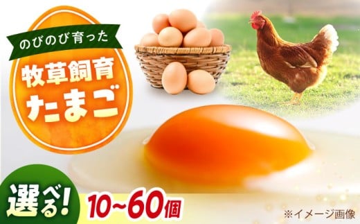 天心山 たまご 【選べる個数】 10個（10個入×3パック）広島県福山市/天心山ファーム 卵 たまご 高級 食品 たまごかけご飯 卵かけご飯 卵焼き 生卵 濃厚 ケーキ お菓子 づくり ランキング 上位 人気 おすすめ ふるさと納税 TKG 産地直送 新鮮 鶏卵 平飼い 広島 福山 アグリヒーロー 10個 20個 30個 40個 50個 60個 送料無料[BABW013]