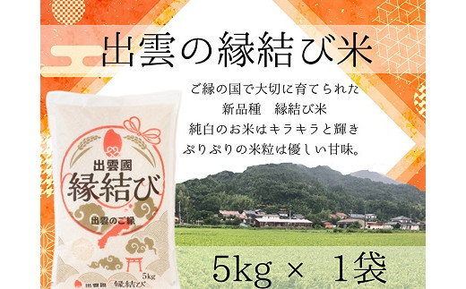 
【出雲のご縁】出雲産縁結び米　5kg×1袋【1-106】
