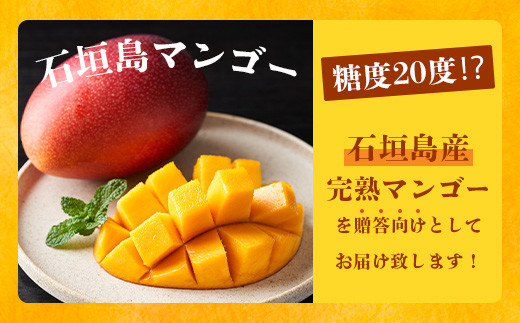 《2026年6月下旬～7月下旬発送》【先行予約】最高糖度20度！？ 完熟の極！3Lサイズ 石垣島マンゴー 1玉入り約400g【贈答向け】【 産地直送 完熟マンゴー アーウィン マンゴー 沖縄 八重山 