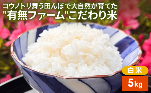 米 コウノトリ舞う田んぼで大自然が育てた有無ファームこだわり米 白米 5kg 精米 お米 栽培期間中農薬・化学肥料不使用