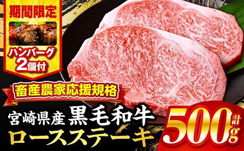【期間・数量限定】畜産農家応援！宮崎県産黒毛和牛ロースステーキ250g×2・国産牛ハンバーグ100g×2個|牛肉 肉 お肉 精肉 国産牛 黒毛和牛 和牛 ロースステーキ ステーキ ステーキ肉 ステーキ用 ロース 焼肉 BBQ お祝い 贈答 贈り物 ギフト パック 冷凍 おすすめ 人気 |
