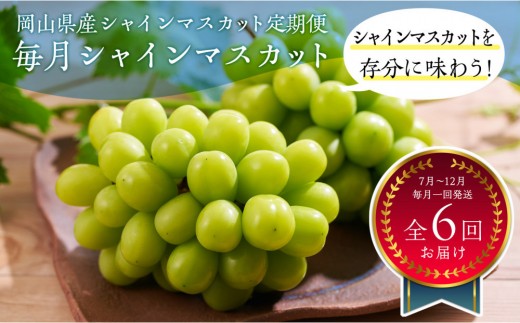 【毎月お届け】岡山県産 シャインマスカット 全6回（7月～12月毎月1回お届け）【シャインマスカット マスカット ぶどう 葡萄 ブドウ フルーツ 果物 旬 岡山県 おすすめ 人気 定期便 月一配送】
