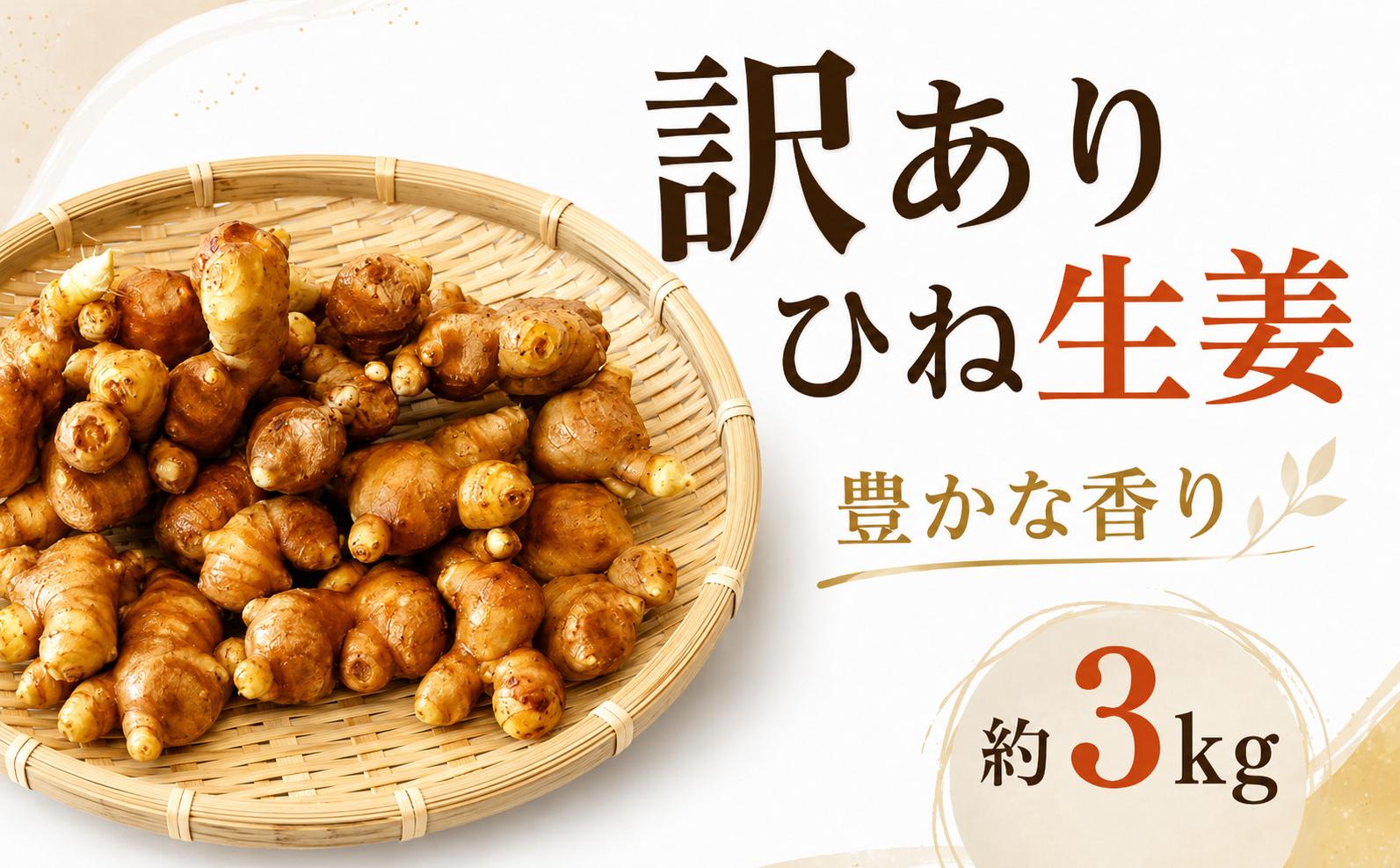 
                  訳あり ひね生姜 約3kg 10000円 不揃い 減農薬 しょうが 生姜 薬味 ガリ ジンジャー 甘酢 きざみ 食べる 野菜 紅茶 生姜湯 しょうが湯 生姜シロップ シロップ 生姜糖 生姜焼き 佃煮 甘酢漬け 炊き込みご飯 タレ チューハイ おつまみ 健康 温活 温まる 冷え 冷え対策 国産 産地直送 愛媛県 愛南町 尾﨑農園 
                