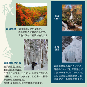 八幡平市共通宿泊補助券（10000円相当） ／ 選べる 宿泊 八幡平市