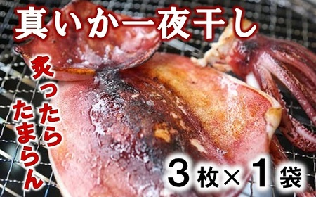 北三陸産 真イカの一夜干し 3枚入×1袋 いか一夜干し いか イカ焼き イカ飯 BBQ イカゲソ